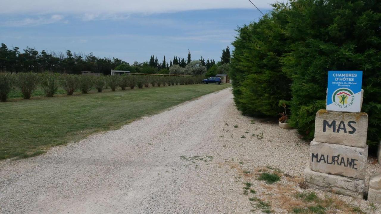 Mas Maurane - L'Olivier Avec Spa Prive Aux Portes D'Arles تاراسكون المظهر الخارجي الصورة